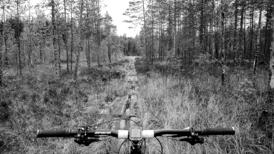 mtb